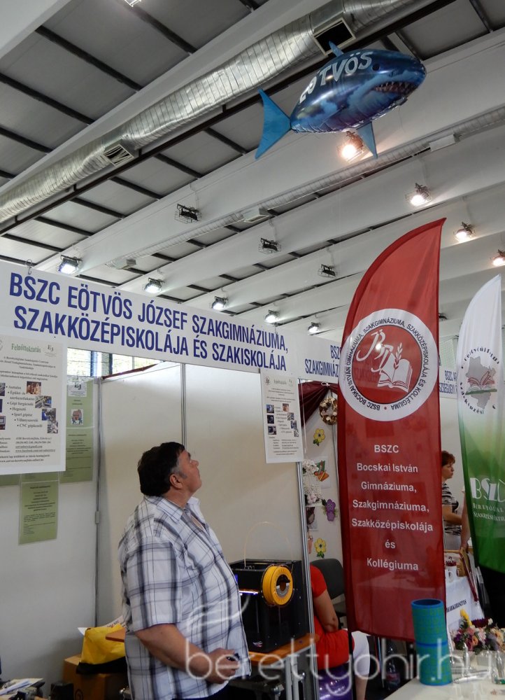 Állásbörze Berettyóújfaluban 29